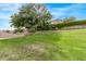 Expansive grassy backyard with privacy hedge surrounding the property at 21373 N 94Th Ave, Peoria, AZ 85382
