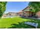 Expansive backyard with artificial turf, pool, patio, and mature landscaping, ideal for outdoor living at 21918 E Maya Rd, Queen Creek, AZ 85142