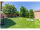 Spacious backyard with lush artificial turf, mature trees, and ample space for outdoor activities at 21918 E Maya Rd, Queen Creek, AZ 85142