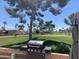 Backyard features an outdoor grill and lush greens at 2192 W Taos Ave, Apache Junction, AZ 85119