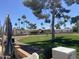 Beautiful backyard view overlooking well-maintained green spaces at 2192 W Taos Ave, Apache Junction, AZ 85119