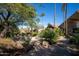 Outdoor patio featuring mature trees and outdoor seating areas with multiple tables and chairs at 2233 E Behrend Dr # 84, Phoenix, AZ 85024