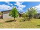 Spacious backyard features mature trees, lush grass, and a covered patio, perfect for entertaining at 313 W Utopia Rd, Phoenix, AZ 85027