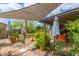 Landscaped backyard features umbrellas, garden beds, covered patio, and privacy fence at 313 W Utopia Rd, Phoenix, AZ 85027