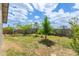 Spacious backyard features mature trees, lush grass, and a storage shed, perfect for outdoor activities at 313 W Utopia Rd, Phoenix, AZ 85027