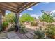 Well-manicured front yard showcasing lush landscaping, colorful plants, and decorative gravel, creating inviting curb appeal at 313 W Utopia Rd, Phoenix, AZ 85027