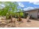 Landscaped front yard features mature trees, flowering plants, and gravel groundcover at 313 W Utopia Rd, Phoenix, AZ 85027