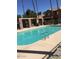Community pool featuring clear water, lounge seating, and tall palm trees at 3511 E Baseline Rd # 1214, Phoenix, AZ 85042