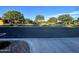 Picturesque street view featuring lush green trees and well-manicured lawns, creating a serene neighborhood at 5304 S Wesley S Cir, Mesa, AZ 85212