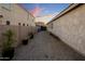 Low-maintenance backyard with gravel landscaping and mature plants, surrounded by privacy walls at 537 E Balao Dr, Phoenix, AZ 85085