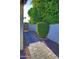 Stone pathway to gated backyard features gravel and a mature flowering shrub at 5718 N 72Nd Pl, Scottsdale, AZ 85250