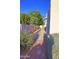 Landscaped side yard with desert plants and manicured shrubs, bright and sunny at 5718 N 72Nd Pl, Scottsdale, AZ 85250