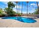 A private swimming pool surrounded by palm trees and string lights creates a backyard oasis at 5751 E Ludlow Dr, Scottsdale, AZ 85254