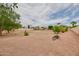 Expansive backyard provides endless possibilities for recreation, featuring desert landscaping, mature trees, and ample space at 8242 S Kachina Dr, Tempe, AZ 85284