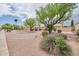 Inviting single-story home featuring desert landscaping with mature trees and rock accents at 8242 S Kachina Dr, Tempe, AZ 85284
