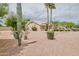 Attractive single-story home featuring desert landscaping, cacti, mature trees, and a stone accent at 8242 S Kachina Dr, Tempe, AZ 85284