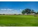 Golf course with green grass, trees and community homes in the background under blue skies at 11360 E Keats Ave # 70, Mesa, AZ 85209