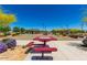 Brightly colored picnic tables are strategically placed in this community for fun and leisure at 12269 E Chiricahua Pl, Gold Canyon, AZ 85118