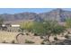 A desert landscaped yard with a view of the mountains and other houses nearby at 12269 E Chiricahua Pl, Gold Canyon, AZ 85118