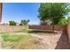 Spacious backyard with grass and a large tree, offering a great outdoor space at 13145 W Cambridge Ave, Goodyear, AZ 85395