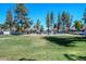 Well-maintained community pool surrounded by lush landscaping and mature trees on a sunny day at 14002 N 49Th Ave # 1040, Glendale, AZ 85306