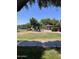 Community playground with mature shade trees and a covered picnic area at 1968 E Emily Ln, Gilbert, AZ 85295