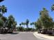 Community entrance with palm trees and flowering bushes at 1968 E Emily Ln, Gilbert, AZ 85295