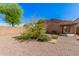 Landscaped back yard featuring a large citrus tree, gravel, synthetic lawn and block wall at 2024 E Dust Devil Dr, San Tan Valley, AZ 85143