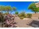 Desert backyard showcasing various cacti, desert plants and gravel landscaping at 2024 E Dust Devil Dr, San Tan Valley, AZ 85143