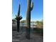 Beautiful pool area with desert landscaping featuring two large cacti and a clear blue sky at 2304 N Steele Cir, Mesa, AZ 85207