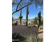 View of a refreshing pool area with desert landscaping, including several tall cacti, and a clear blue sky at 2304 N Steele Cir, Mesa, AZ 85207