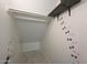 Walk-in closet with playful paw print decorations and built-in shelving and rod at 29706 N 127Th Ln, Peoria, AZ 85383