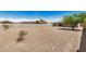 Spacious backyard featuring desert landscaping and a block fence for privacy at 30208 W Fairmount Ave, Buckeye, AZ 85396