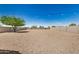 Large backyard with desert landscaping, privacy fence, and mature tree at 30208 W Fairmount Ave, Buckeye, AZ 85396