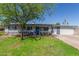 Charming single-story home with a lush green lawn and mature shade tree at 3824 N 8Th Ave, Phoenix, AZ 85013