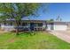 Charming single-story home with a lush green lawn and mature shade tree at 3824 N 8Th Ave, Phoenix, AZ 85013