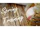 Close-up of a baseball in a mitt with 'Spring Training' text, perfect for sports enthusiasts at 4200 N Miller Rd # 228, Scottsdale, AZ 85251