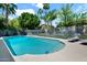 Inviting backyard pool area with lounge chairs, clear blue water, and well-maintained landscaping at 5406 E Charleston Ave, Scottsdale, AZ 85254