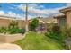 Beautifully landscaped backyard with green grass, mature trees, and a serene setting, ideal for outdoor living at 6128 E Portia St, Mesa, AZ 85215