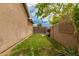 Well-maintained backyard featuring a grassy lawn, privacy fence, and tidy landscaping for outdoor enjoyment at 6128 E Portia St, Mesa, AZ 85215