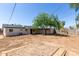 Large backyard featuring a mature tree and ample space for outdoor activities at 6733 N 49Th Ave, Glendale, AZ 85301