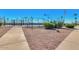 Well-maintained tennis courts bordered by native plants offering residents an active lifestyle at 8037 E Navarro Ave, Mesa, AZ 85209
