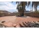 Large backyard features gravel groundcover, trees, and a block fence at 8310 N 49Th Ave, Glendale, AZ 85302