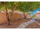 Manicured backyard with a paved path, mature trees and lovely landscaping at 9642 E Irwin Ave, Mesa, AZ 85209