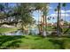 Scenic pond with fountain and swans, surrounded by green grass and palm trees at 9711 E Mountain View Rd # 2543, Scottsdale, AZ 85258