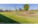 Views of the community green space features a grassy field and mature landscaping at 11250 E Kilarea Ave # 276, Mesa, AZ 85209