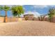 Expansive desert landscaped backyard enclosed with a brick wall, featuring palm trees and desert foliage at 16261 W Custer Ln, Surprise, AZ 85379