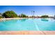 A large community pool with tall palm trees reflecting in the pool water, surrounded by lounge chairs at 1633 E Lakeside Dr # 48, Gilbert, AZ 85234