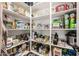 Walk-in pantry with lots of shelving and storage for dry goods, appliances, and canned items at 25725 S 230Th St, Queen Creek, AZ 85142