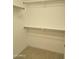 Walk-in closet with installed shelving and beige carpeting at 3454 E Bellerive Pl, Chandler, AZ 85249